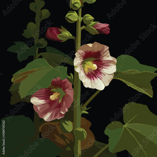 Hibiscus flower silhouette with long stamen details and single leaf simple black floral vector graphic illustration.