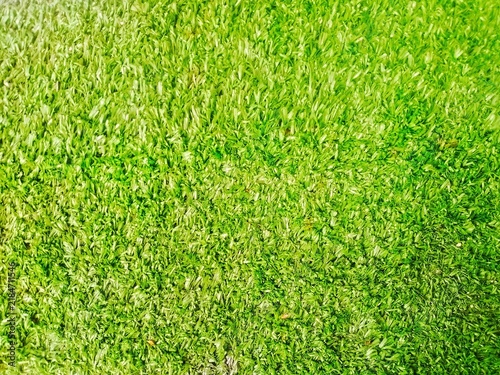 This photo shows a synthetic grass surface with a neat and evenly distributed green appearance.