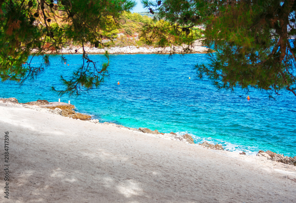 Obraz premium Pine branches frame turquoise cove along a rocky, sunny coastline. Clear water meets a pale sandy shore scattered with stones and small buoys