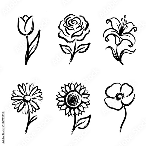 Flower Icon Symbol Set with Brush Outline