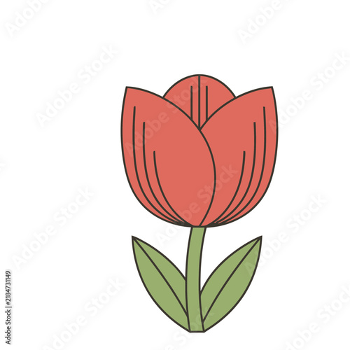 Red Tulip Flower Illustration
