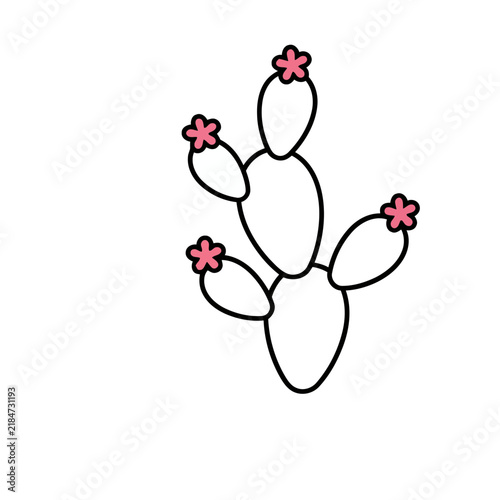 Simple Cactus Illustration with Pink Flowers