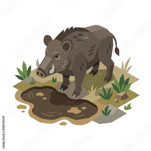 Bild auf Leinwand Isometric 3D vector illustration of a wild boar with large tusks standing next to a muddy puddle in a natural landscape with green plants and rocks on a white background