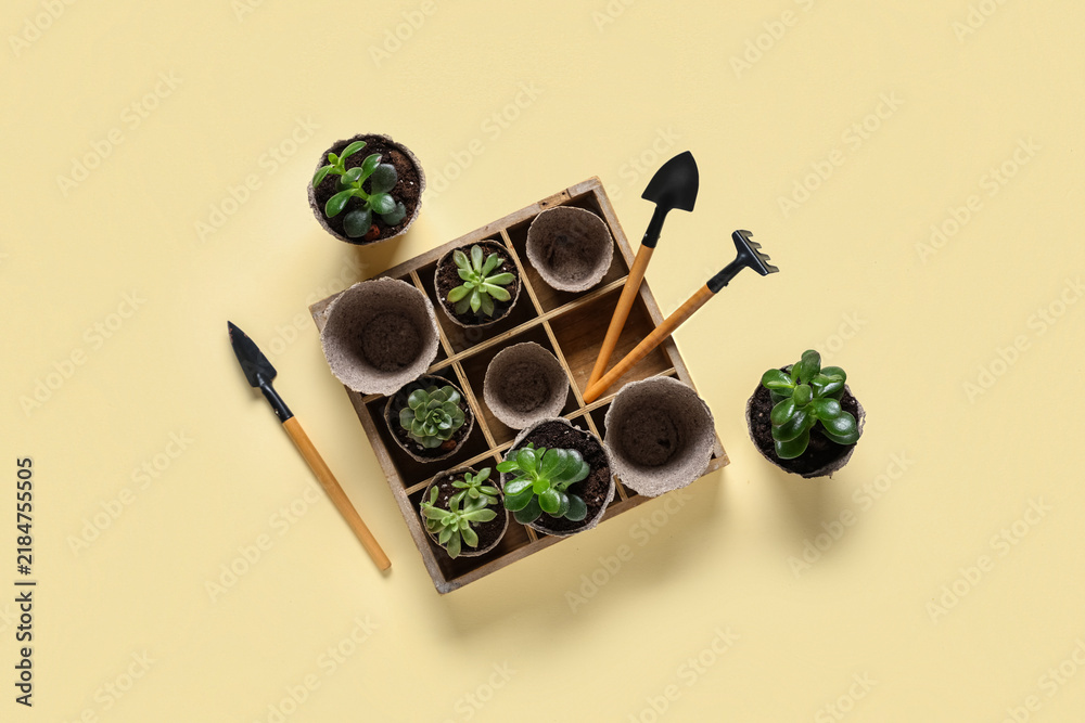Obraz premium Organizer with plants in peat pots, shovel, spade and rake on beige background. Gardening supplies. Top view