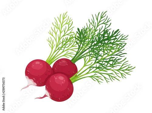 Illustrazione di ravanelli freschi con foglie verdi