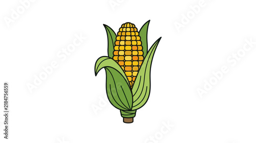 Single ear of yellow corn in green husks.
