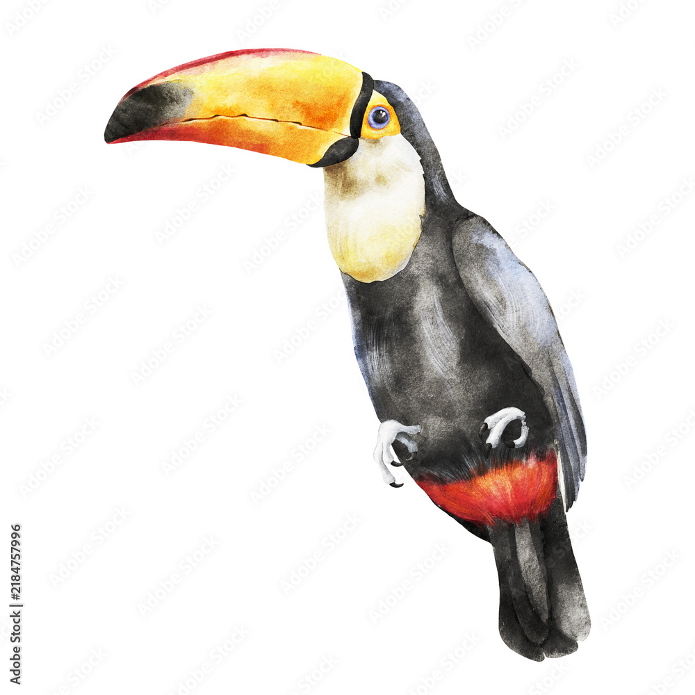 Obraz premium Watercolor illustration of a black toucan with a large yellow, orange and red beak in tropical wildlife style. Ideal for zoo, nursery, textile, packaging, poster and travel design.