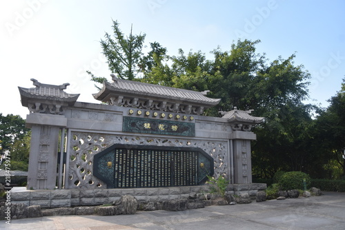Chinese Steele 