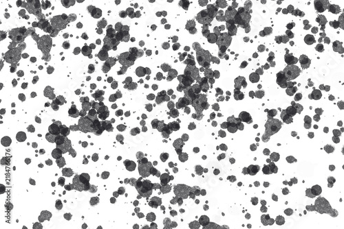 Grunge black ink splatters on white background, messy paint droplets texture, abstract artistic spray pattern for graphic design