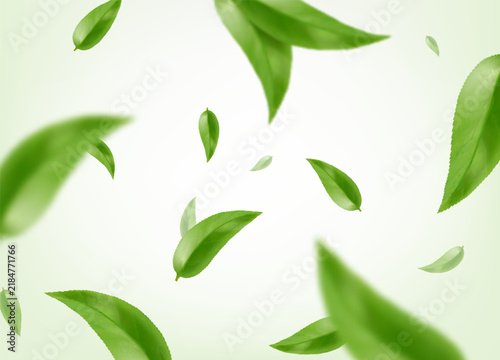 Falling leaves background. Flying foliage. Falling of green leaves or leaf fly on air stream with blurry effect, fresh herbal greenery, Realistic 3d vector illustration. Green leaves in motion