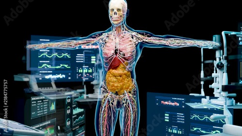 Visceral Fat and Metabolic Burning in a High-Tech Medical Laboratory, Human Anatomy and Body Composition Analysis, 3d render