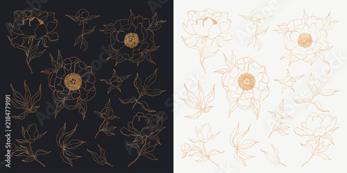 Outline peony flowers decorative set. Collection of golden peonies symbol. Shine linear floral silhouettes. Isolated contour for cards, logo, decorations, invitations design.