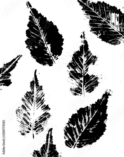 Seamless Leaf Prints Pattern – Botanical Hand Drawn Vector Background
