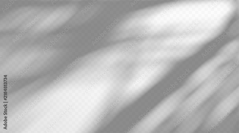 Obraz premium Gobo light effect on a white background with soft blurred shadows and diffused sunlight. Abstract organic shadow pattern with gentle gray tones and smooth light beams.