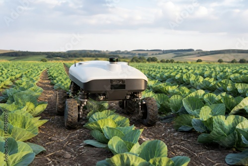 Autonomous vegetable rover