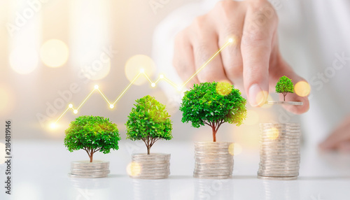Sustainable Financial Growth Concept with Trees Growing on Coin Stacks