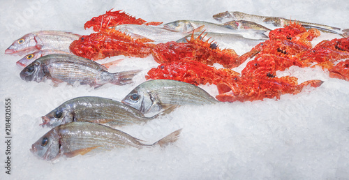 Fresh Scorpionfish and Sea Bream on Crushed Ice at Fish Market
