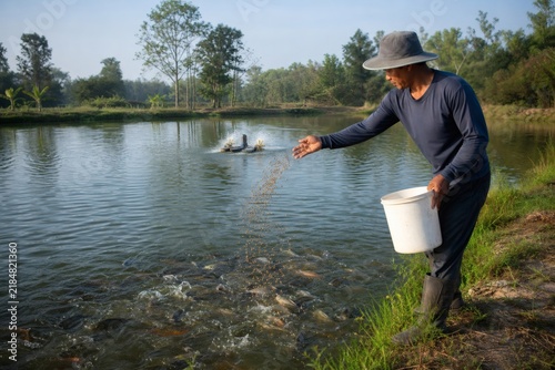 Fish feeding