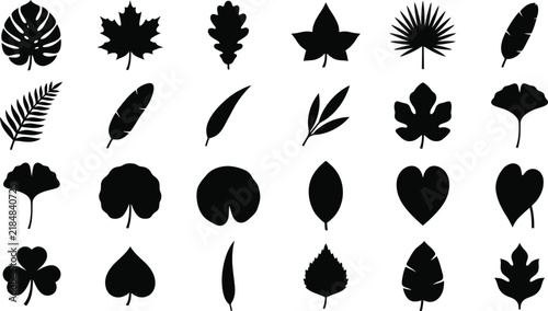 Set of various black leaf silhouettes collection representing different tropical and forest plant species isolated on transparent background, Vector