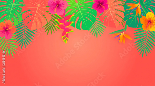 Tropical Floral Border with Hibiscus and Monstera Leaves