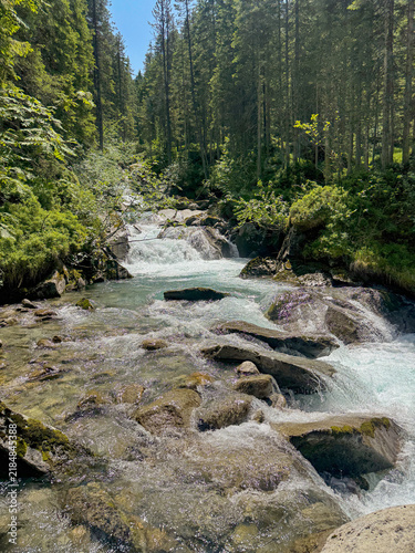 Scenic Mountain Stream Flowing Through Forest in K  nigsleiten Austria Tirol on a Sunny Summer Day With Rocks and Greenery Perfect for Travel and Tourism