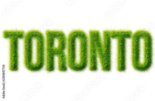 Photography Toronto word written in realistic green grass texture typography isolated on bla