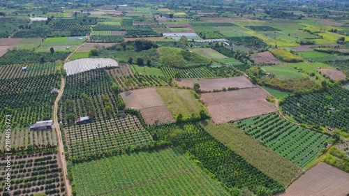 Aerial view of Mount Sinabung agricultural fields with diverse plantations and rural landscape in Naman Teran, North Sumatra, Indonesia.