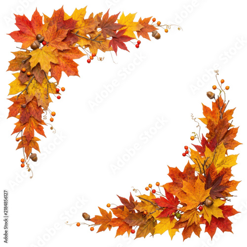 Colorful autumn maple leaf corner border with acorns
