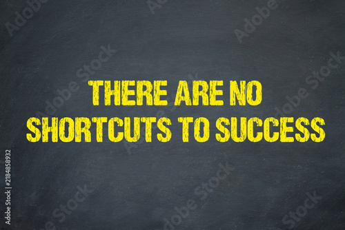 Quadro su tela There are no shortcuts to success