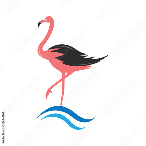 Flamingo logo design vector illustration