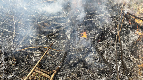 Canvastavla Thick white smoke rising from smoldering ash and branches