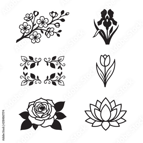 Botanical Floral Elements Collection Set Black Vintage Flowers Vector Isolated on White Background