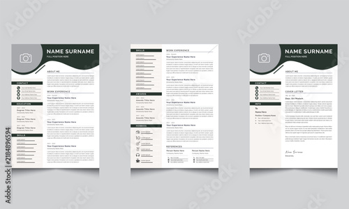 Professional Resume CV Layout with Cover Letter 