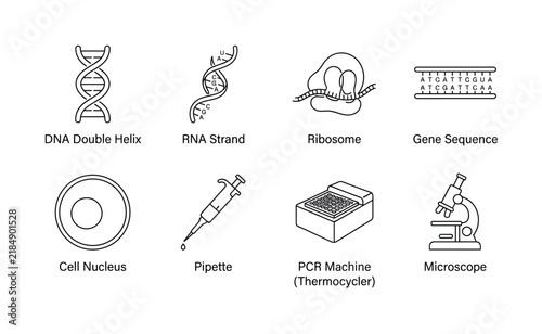 Molecular Biology. Minimalistic set one-line drawing [DNA double helix, RNA strand, ribosome, gene sequence, cell nucleus, pipette, PCR machine, microscope], continuous single black line on white