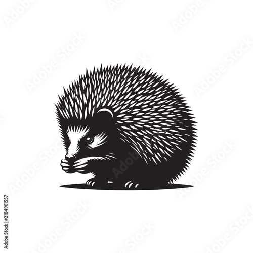 Hedgehog, Cute Hedgehog, Spiky Hedgehog, Wild Hedgehog, Baby Hedgehog, Forest Hedgehog, Adorable Hedgehog, Tiny Hedgehog, Prickly Hedgehog, Hedgehog Animal, Hedgehog Wildlife, Hedgehog Nature.