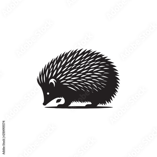 Hedgehog, Cute Hedgehog, Spiky Hedgehog, Wild Hedgehog, Baby Hedgehog, Forest Hedgehog, Adorable Hedgehog, Tiny Hedgehog, Prickly Hedgehog, Hedgehog Animal, Hedgehog Wildlife, Hedgehog Nature.