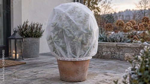 Potted Shrub Covered with Frost Fleece for Winter Protection