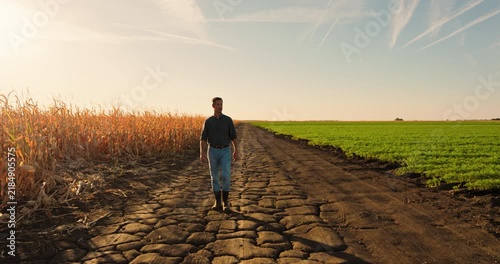 Farmer walking on a cracked, dry path dividing a dead cornfield from a lush green crop, symbolizing drought and climate change impact