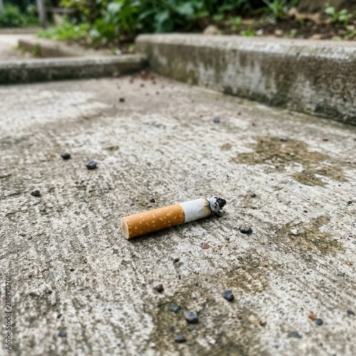 Discarded Cigarette Butt On A Concrete Pathway With Overgrown Greenery In The Background