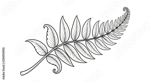 Detailed black and white illustration of a silver fern leaf, a classic New Zealand symbol, isolated on white background