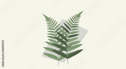 Green fern leaves minimalist flat design botanical vector illustration with geometric shapes