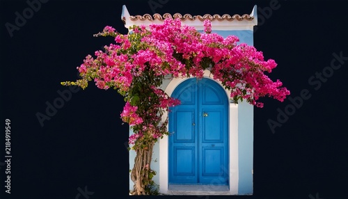 vibrant bougainvillea flowers blooming by traditional blue door