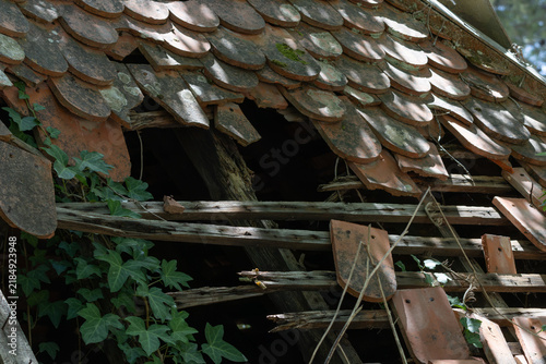Cuadro en lienzo Abandoned building with broken roof tiles and climbing ivy