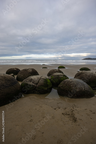 Bild auf Leinwand Cloudy day view of Moeraki Boulders, New Zealand.