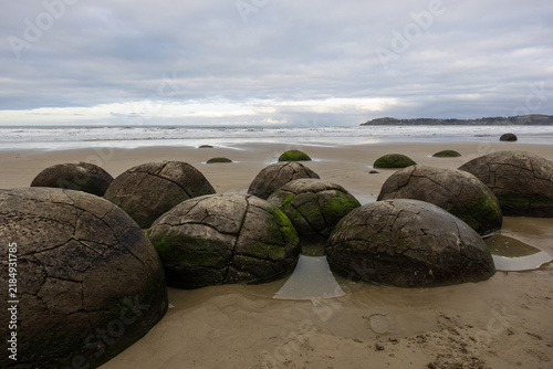 Bild auf Leinwand Cloudy day view of Moeraki Boulders, New Zealand.