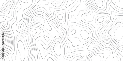 Gray Topographic Line Abstract Vector Map Overlay, Minimalist Contour Elevation Background, Terrain Surface Texture Pattern