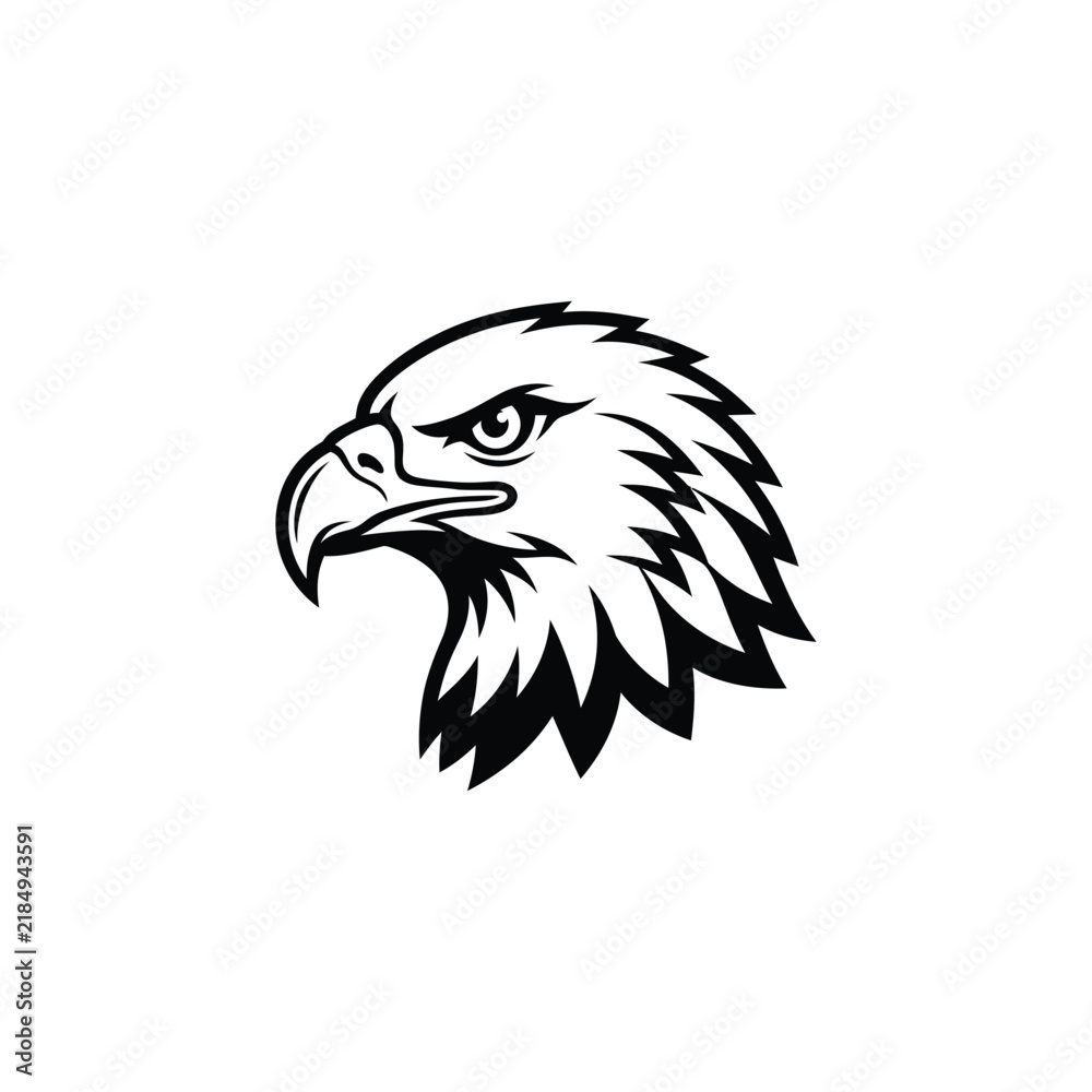 Fototapeta premium bald eagle vector illustration