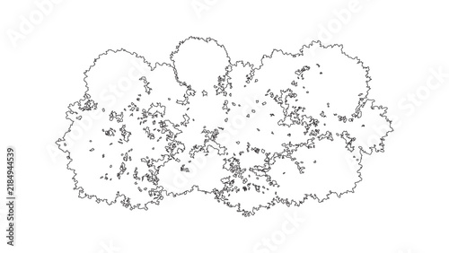 A collection of tree top view symbols for architectural and landscape design plans. Black and white line drawing illustrations for mapping and site plans
