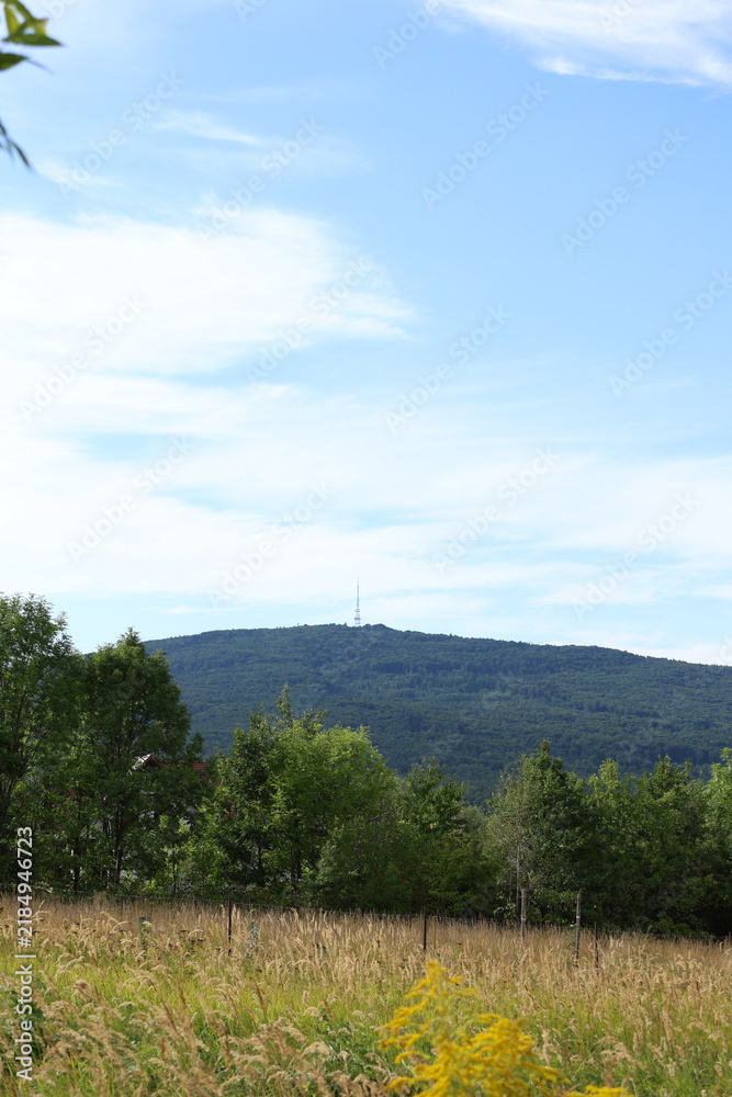 Fototapeta premium Mountain Landscape on Sunny Day, Scenic Rocky Terrain and Blue Sky. Scenic mountainous terrain under clear sunny weather with natural rocky landscapes, mountain slopes and blue sky. Ideal for travel