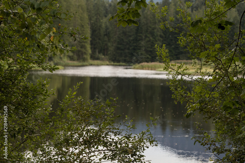 Gieringer Weiher